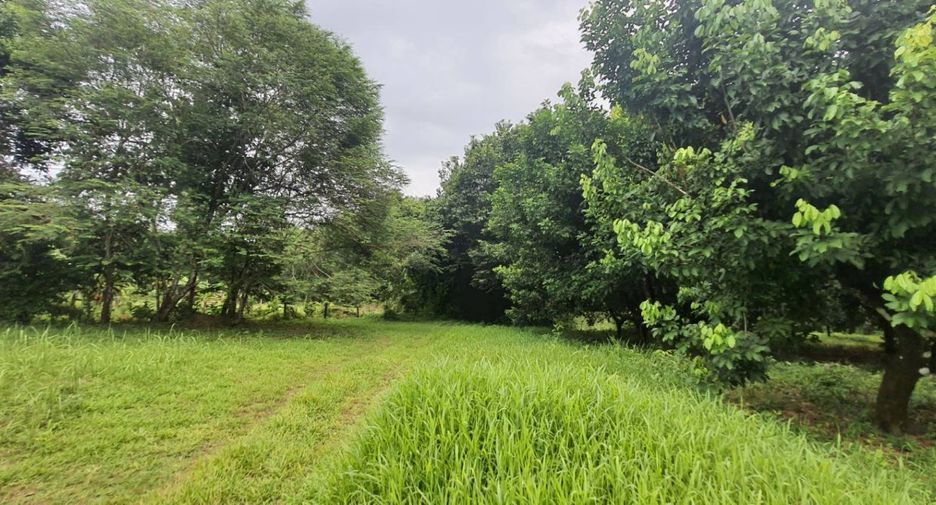 Terreno en venta en Takua Pa, Phang Nga