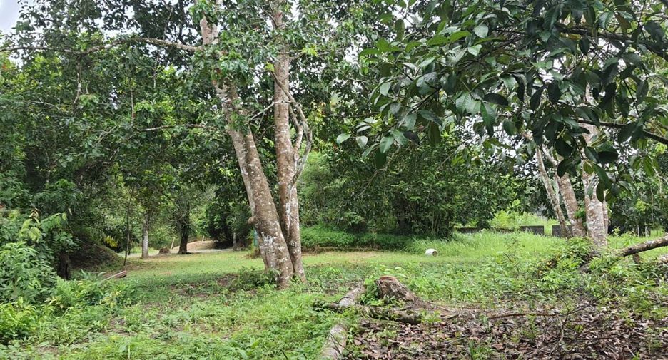 Terreno en venta en Takua Pa, Phang Nga