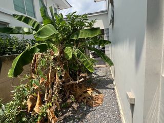 For sale 3 bed house in Mueang Nonthaburi, Nonthaburi