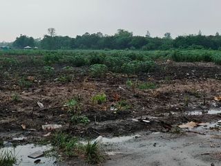 For sale land in Ban Bueng, Chonburi