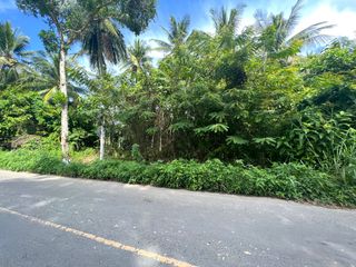 ขาย ที่ดิน ใน เมืองกระบี่, กระบี่