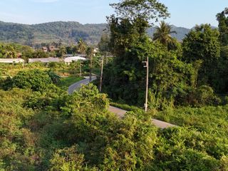 ขาย ที่ดิน ใน เมืองกระบี่, กระบี่