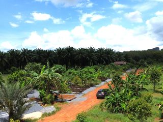 Terreno en venta 