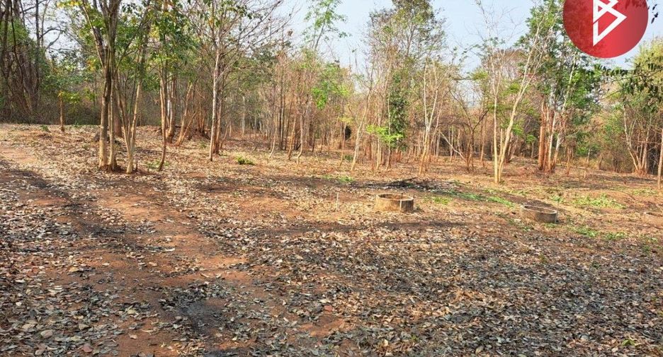 For sale land in Hot, Chiang Mai