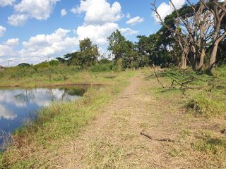 For sale land in Mueang Phayao, Phayao
