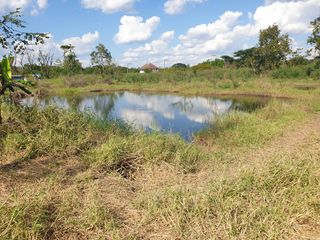 For sale land in Mueang Phayao, Phayao