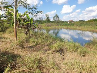 For sale land in Mueang Phayao, Phayao