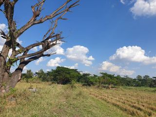 For sale land in Mueang Phayao, Phayao