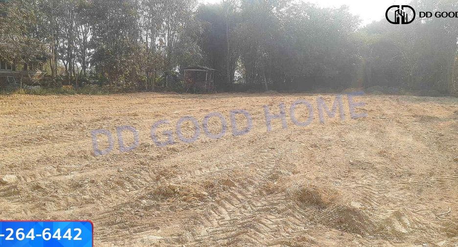 For sale land in Muang Nan, Nan