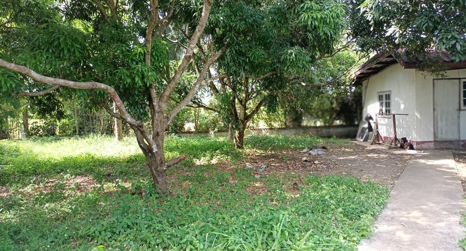 À vendre terrain à Khao Khitchakut, Chanthaburi
