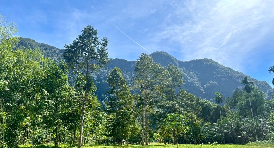 À vendre terrain à Mueang Krabi, Krabi