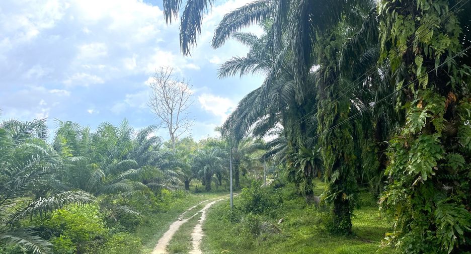 Terreno en venta en Thai Mueang, Phang Nga