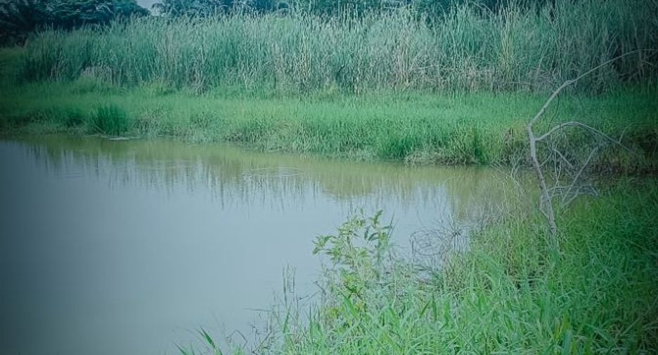 For sale land in Ongkharak, Nakhon Nayok