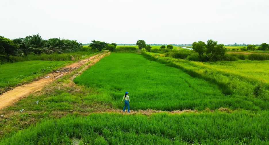 For sale land in Ongkharak, Nakhon Nayok
