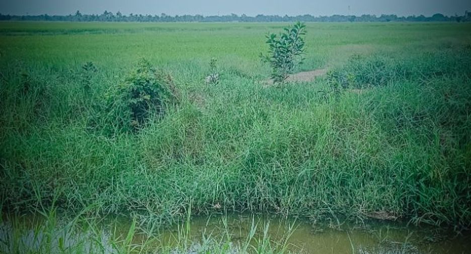 For sale land in Ongkharak, Nakhon Nayok