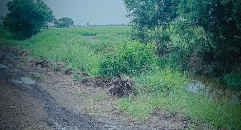 For sale land in Ongkharak, Nakhon Nayok