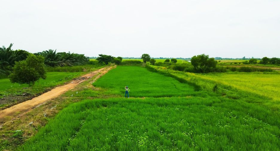 For sale land in Ongkharak, Nakhon Nayok