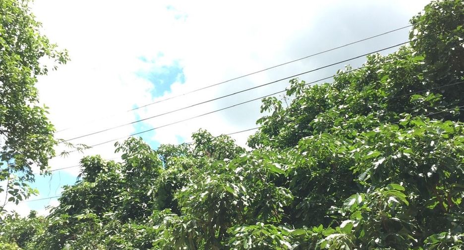 ขาย ที่ดิน ใน แม่ออน, เชียงใหม่