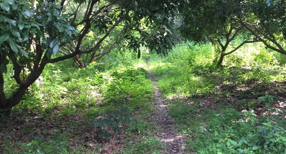 ขาย ที่ดิน ใน แม่ออน, เชียงใหม่