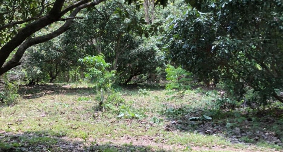 ขาย ที่ดิน ใน แม่ออน, เชียงใหม่