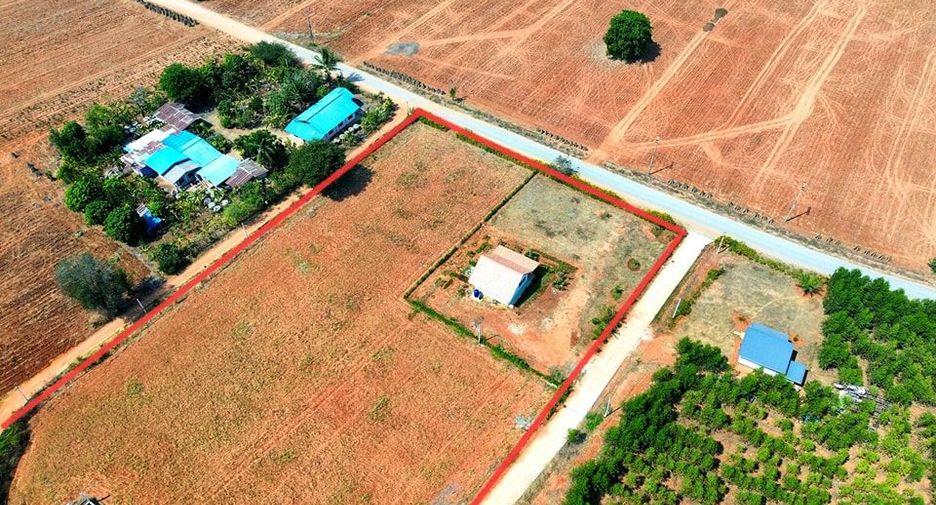 For sale land in Dan Khun Thot, Nakhon Ratchasima