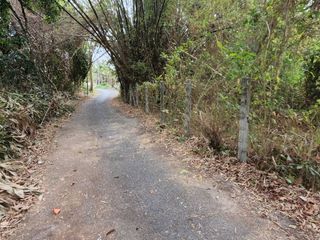 For sale land in Mueang Nakhon Nayok, Nakhon Nayok