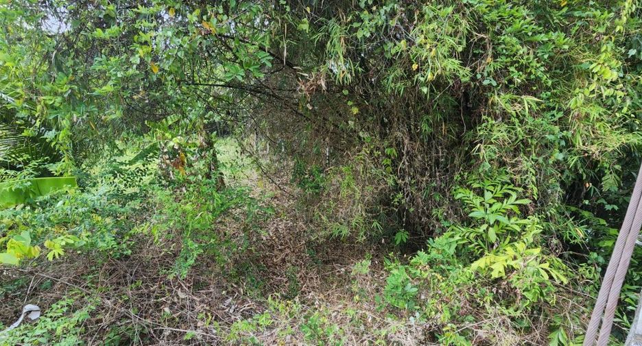 Grundstück zum Kauf in Mueang Nakhon Nayok, Nakhon Nayok