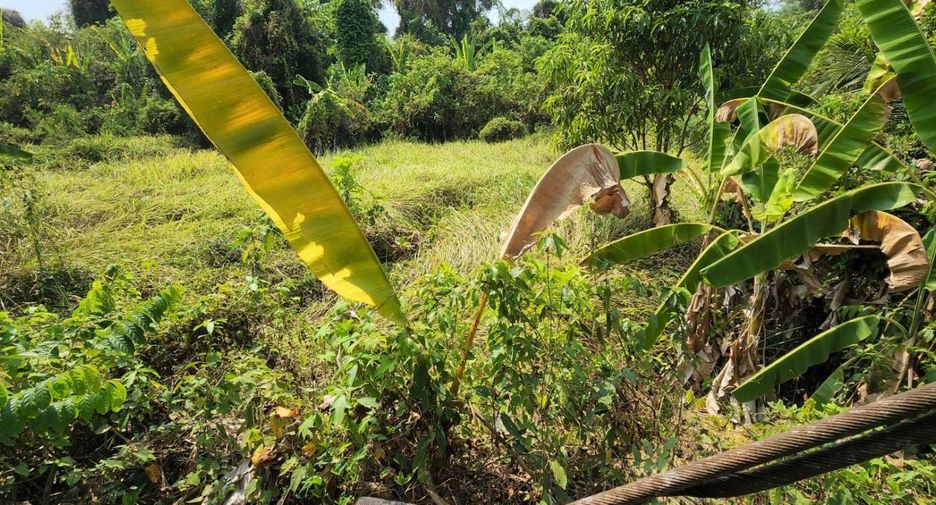 Grundstück zum Kauf in Mueang Nakhon Nayok, Nakhon Nayok