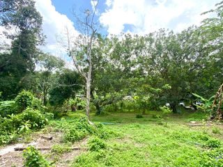 For sale land in Thalang, Phuket