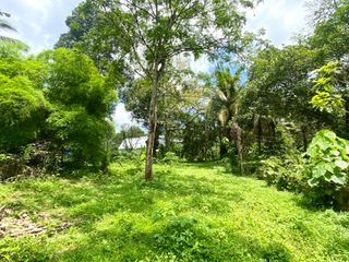 For sale land in Thalang, Phuket