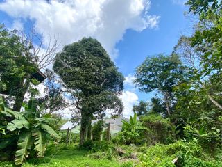 For sale land in Thalang, Phuket