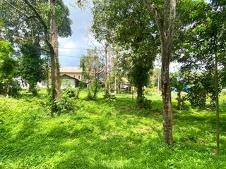For sale land in Thalang, Phuket