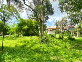 For sale land in Thalang, Phuket
