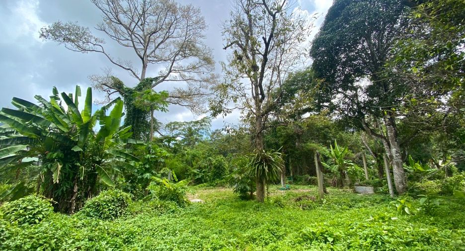 ขาย ที่ดิน ใน ถลาง, ภูเก็ต
