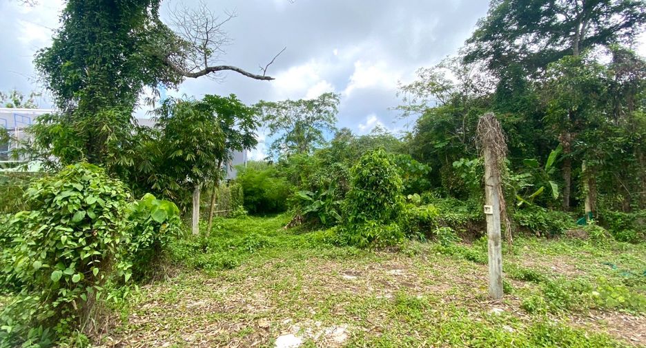 ขาย ที่ดิน ใน ถลาง, ภูเก็ต