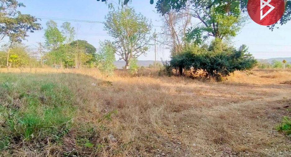 For sale land in Kaeng Khro, Chaiyaphum