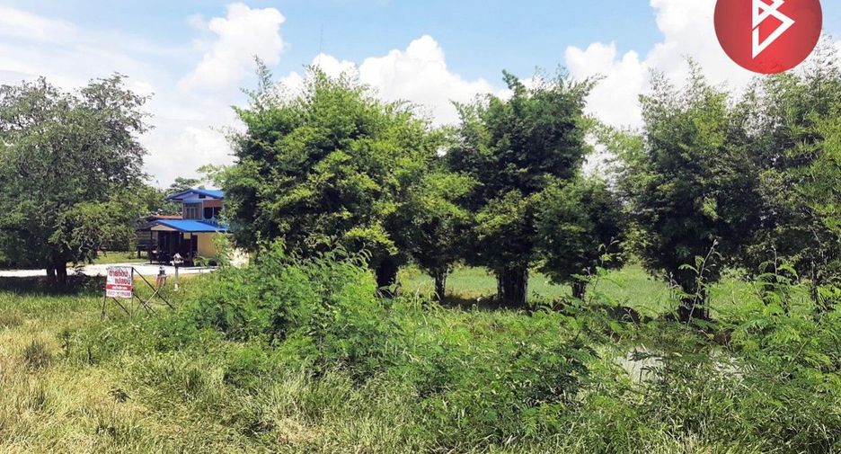 For sale land in Nong Mamong, Chainat