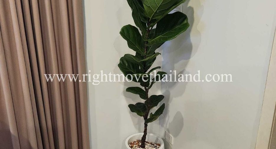 For rent 1 Beds condo in Phra Khanong, Bangkok