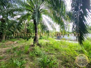 For sale land in Bang Lamung, Chonburi