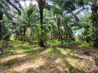 For sale land in Bang Lamung, Chonburi
