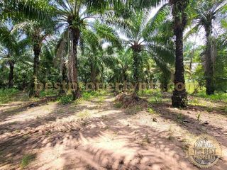 For sale land in Bang Lamung, Chonburi