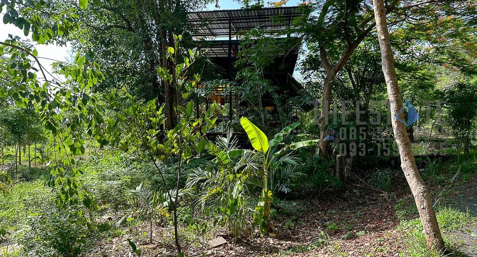 For rent land in Mae On, Chiang Mai