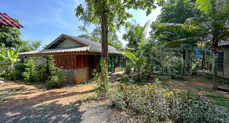 For rent land in Mae On, Chiang Mai