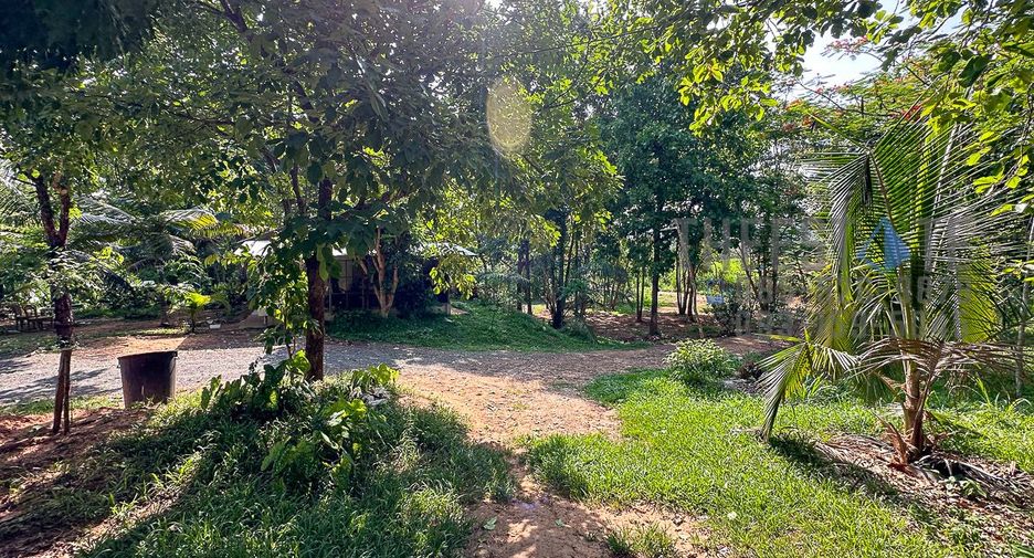For rent land in Mae On, Chiang Mai