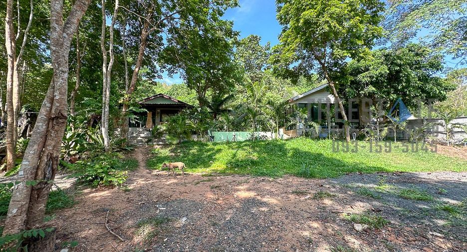 For rent land in Mae On, Chiang Mai
