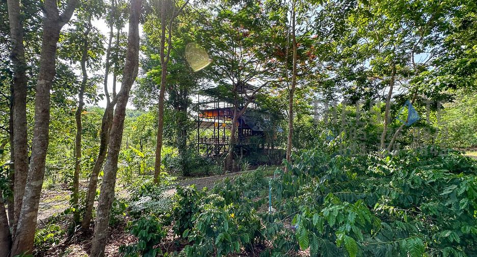 For rent land in Mae On, Chiang Mai