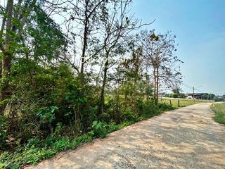 For sale land in Mueang Phayao, Phayao