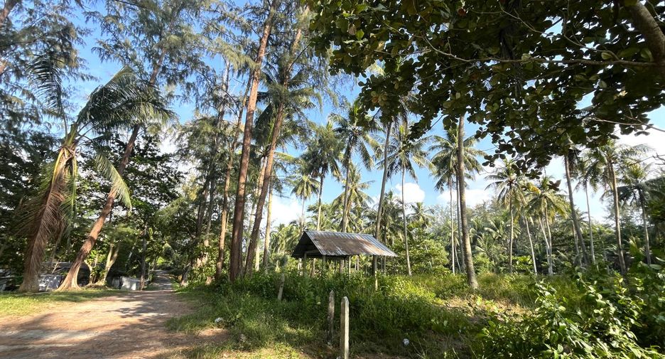 出售 土地 在 Thai Mueang, Phangnga