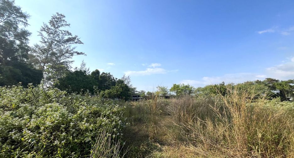 出售 土地 在 Thai Mueang, Phangnga