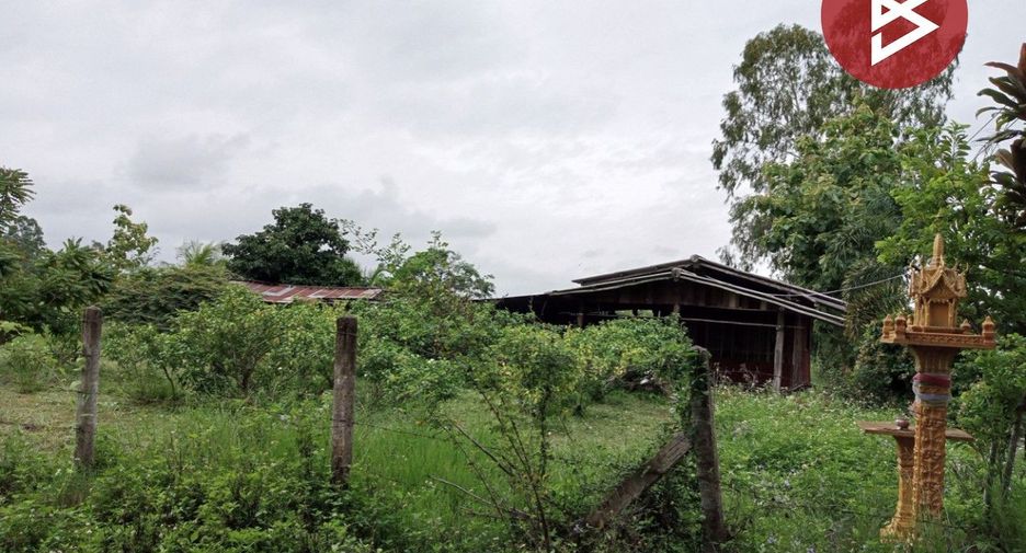 For sale studio land in Dok Khamtai, Phayao